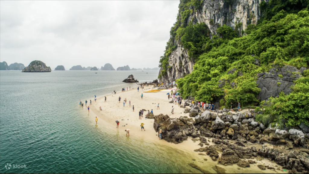 碧綠的海水與引人注目的石灰岩懸崖交織成壯麗景色,展現下龍灣與蘭哈灣的自然奇觀。