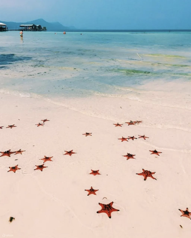 海星沙灘(Starfish Beach)位於富國島北部,9月至翌年4月期間可見橘紅色海星點綴沙灘,畫面夢幻如仙境,成為熱門觀光勝地。