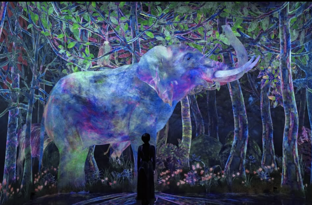 Teamlab Tokyo