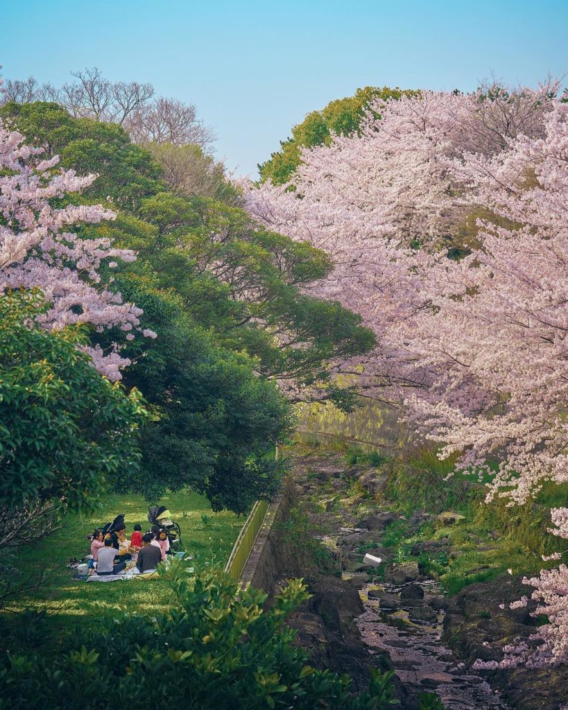 濟州必到 濟州必去 濟州打卡 신산공원 新山公園 Shinsan Park
