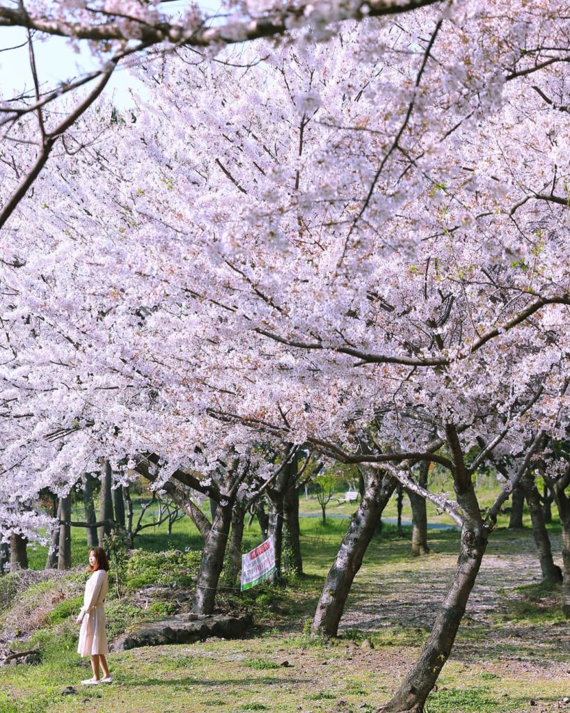 濟州必到 濟州必去 濟州打卡 신산공원 新山公園 Shinsan Park
