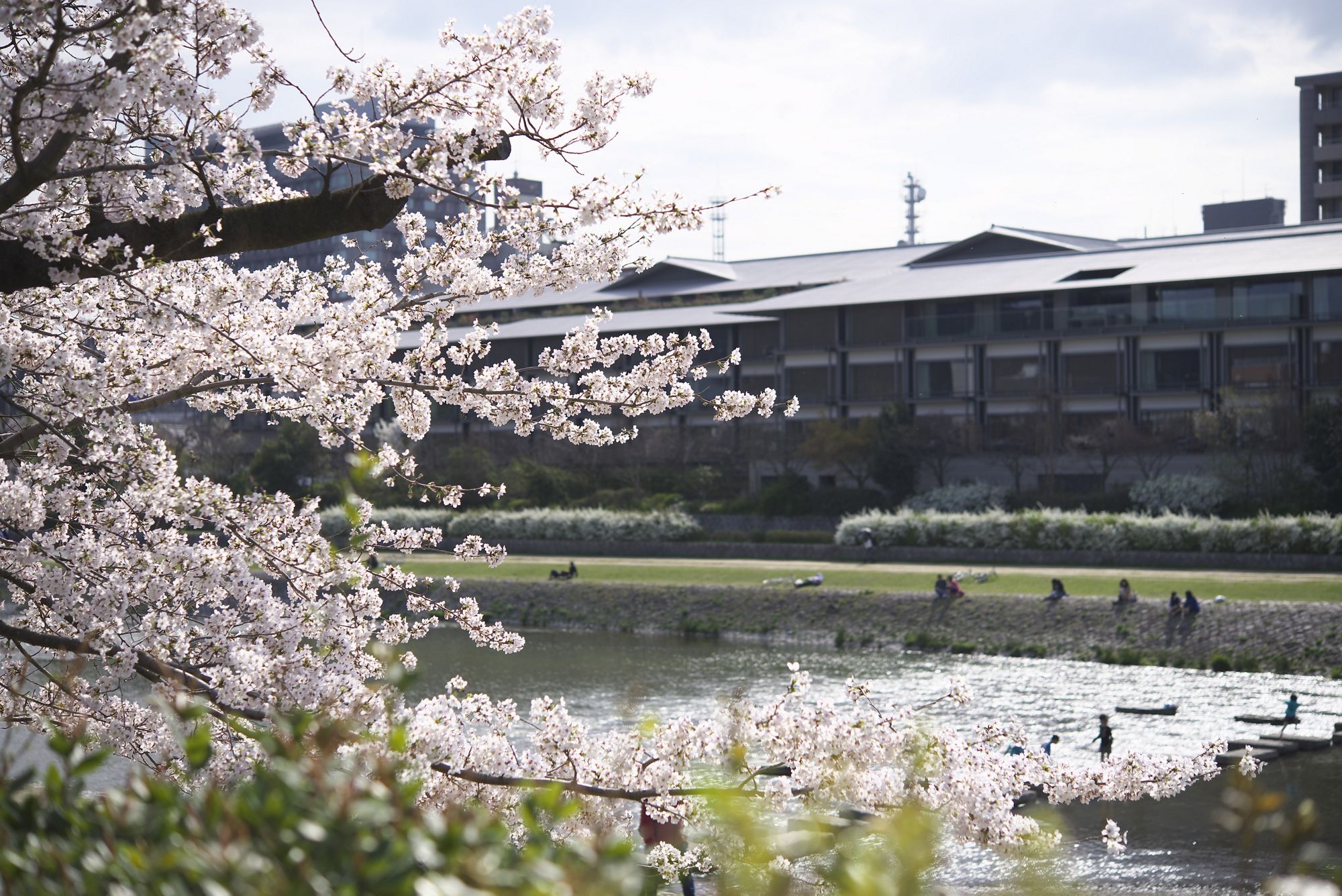 TripAdvisor 京都人氣酒店 TOP 2！京都麗思卡爾頓酒店(The Ritz-Carlton Kyoto)
