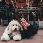 TrueLove @ Neverland|泰國 Thailand 泰國必食 泰國必吃 泰國必到 泰國必去 泰國必買 泰國必掃 泰國自由行 行程 泰國行程包 泰國懶人包 泰國好去處 泰國景點 泰國必到景點 泰國必去景點 泰國美食 泰國交通 泰國攻略 泰國自由行行程 泰國自由行行程推薦 泰國酒店 泰國飯店 泰國酒店推薦 泰國飯店推薦 泰國必住酒店 泰國必住飯店 泰國必食2019 泰國必吃2019 泰國必到2019 泰國必去2019 泰國必買2019 泰國必掃2019 泰國自由行2019 泰國行程2019 泰國行程包2019 泰國懶人包2019 泰國好去處2019 泰國景點2019 泰國必到景點2019 泰國必去景點2019 泰國美食2019 泰國交通2019 泰國攻略2019 泰國自由行行程2019 泰國自由行行程推薦2019 泰國酒店2019 泰國飯店2019 泰國酒店推薦2019 泰國飯店推薦2019 泰國必住酒店2019 泰國必住飯店2019 曼谷 Bangkok 曼谷必食 曼谷必吃 曼谷必到 曼谷必去 曼谷必買 曼谷必掃 曼谷自由行 行程 曼谷行程包 曼谷懶人包 曼谷好去處 曼谷景點 曼谷必到景點 曼谷必去景點 曼谷美食 曼谷交通 曼谷攻略 曼谷自由行行程 曼谷自由行行程推薦 曼谷酒店 曼谷飯店 曼谷酒店推薦 曼谷飯店推薦 曼谷必住酒店 曼谷必住飯店 曼谷必食2019 曼谷必吃2019 曼谷必到2019 曼谷必去2019 曼谷必買2019 曼谷必掃2019 曼谷自由行2019 曼谷行程2019 曼谷行程包2019 曼谷懶人包2019 曼谷好去處2019 曼谷景點2019 曼谷必到景點2019 曼谷必去景點2019 曼谷美食2019 曼谷交通2019 曼谷攻略2019 曼谷自由行行程2019 曼谷自由行行程推薦2019 曼谷酒店2019 曼谷飯店2019 曼谷酒店推薦2019 曼谷飯店推薦2019 曼谷必住酒店2019 曼谷必住飯店2019 TrueLove@Neverland Little Zoo Cafe Caturday Cat Café Rabbito Cafe cafe Corgi in the Garden 動物cafe 泰國動物cafe 曼谷動物cafe 哈士奇cafe 二哈cafe 柯基cafe true love cafe預約 truelove at neverland 2019 truelove at neverland交通 truelove at neverland點去 truelove at neverland曼谷 corgi in the garden true love cafe 2018 big dog cafe truelove at neverland泰文地址 husky cafe曼谷