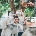 TrueLove @ Neverland|泰國 Thailand 泰國必食 泰國必吃 泰國必到 泰國必去 泰國必買 泰國必掃 泰國自由行 行程 泰國行程包 泰國懶人包 泰國好去處 泰國景點 泰國必到景點 泰國必去景點 泰國美食 泰國交通 泰國攻略 泰國自由行行程 泰國自由行行程推薦 泰國酒店 泰國飯店 泰國酒店推薦 泰國飯店推薦 泰國必住酒店 泰國必住飯店 泰國必食2019 泰國必吃2019 泰國必到2019 泰國必去2019 泰國必買2019 泰國必掃2019 泰國自由行2019 泰國行程2019 泰國行程包2019 泰國懶人包2019 泰國好去處2019 泰國景點2019 泰國必到景點2019 泰國必去景點2019 泰國美食2019 泰國交通2019 泰國攻略2019 泰國自由行行程2019 泰國自由行行程推薦2019 泰國酒店2019 泰國飯店2019 泰國酒店推薦2019 泰國飯店推薦2019 泰國必住酒店2019 泰國必住飯店2019 曼谷 Bangkok 曼谷必食 曼谷必吃 曼谷必到 曼谷必去 曼谷必買 曼谷必掃 曼谷自由行 行程 曼谷行程包 曼谷懶人包 曼谷好去處 曼谷景點 曼谷必到景點 曼谷必去景點 曼谷美食 曼谷交通 曼谷攻略 曼谷自由行行程 曼谷自由行行程推薦 曼谷酒店 曼谷飯店 曼谷酒店推薦 曼谷飯店推薦 曼谷必住酒店 曼谷必住飯店 曼谷必食2019 曼谷必吃2019 曼谷必到2019 曼谷必去2019 曼谷必買2019 曼谷必掃2019 曼谷自由行2019 曼谷行程2019 曼谷行程包2019 曼谷懶人包2019 曼谷好去處2019 曼谷景點2019 曼谷必到景點2019 曼谷必去景點2019 曼谷美食2019 曼谷交通2019 曼谷攻略2019 曼谷自由行行程2019 曼谷自由行行程推薦2019 曼谷酒店2019 曼谷飯店2019 曼谷酒店推薦2019 曼谷飯店推薦2019 曼谷必住酒店2019 曼谷必住飯店2019 TrueLove@Neverland Little Zoo Cafe Caturday Cat Café Rabbito Cafe cafe Corgi in the Garden 動物cafe 泰國動物cafe 曼谷動物cafe 哈士奇cafe 二哈cafe 柯基cafe true love cafe預約 truelove at neverland 2019 truelove at neverland交通 truelove at neverland點去 truelove at neverland曼谷 corgi in the garden true love cafe 2018 big dog cafe truelove at neverland泰文地址 husky cafe曼谷