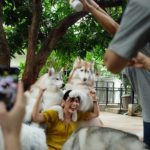 TrueLove @ Neverland|泰國 Thailand 泰國必食 泰國必吃 泰國必到 泰國必去 泰國必買 泰國必掃 泰國自由行 行程 泰國行程包 泰國懶人包 泰國好去處 泰國景點 泰國必到景點 泰國必去景點 泰國美食 泰國交通 泰國攻略 泰國自由行行程 泰國自由行行程推薦 泰國酒店 泰國飯店 泰國酒店推薦 泰國飯店推薦 泰國必住酒店 泰國必住飯店 泰國必食2019 泰國必吃2019 泰國必到2019 泰國必去2019 泰國必買2019 泰國必掃2019 泰國自由行2019 泰國行程2019 泰國行程包2019 泰國懶人包2019 泰國好去處2019 泰國景點2019 泰國必到景點2019 泰國必去景點2019 泰國美食2019 泰國交通2019 泰國攻略2019 泰國自由行行程2019 泰國自由行行程推薦2019 泰國酒店2019 泰國飯店2019 泰國酒店推薦2019 泰國飯店推薦2019 泰國必住酒店2019 泰國必住飯店2019 曼谷 Bangkok 曼谷必食 曼谷必吃 曼谷必到 曼谷必去 曼谷必買 曼谷必掃 曼谷自由行 行程 曼谷行程包 曼谷懶人包 曼谷好去處 曼谷景點 曼谷必到景點 曼谷必去景點 曼谷美食 曼谷交通 曼谷攻略 曼谷自由行行程 曼谷自由行行程推薦 曼谷酒店 曼谷飯店 曼谷酒店推薦 曼谷飯店推薦 曼谷必住酒店 曼谷必住飯店 曼谷必食2019 曼谷必吃2019 曼谷必到2019 曼谷必去2019 曼谷必買2019 曼谷必掃2019 曼谷自由行2019 曼谷行程2019 曼谷行程包2019 曼谷懶人包2019 曼谷好去處2019 曼谷景點2019 曼谷必到景點2019 曼谷必去景點2019 曼谷美食2019 曼谷交通2019 曼谷攻略2019 曼谷自由行行程2019 曼谷自由行行程推薦2019 曼谷酒店2019 曼谷飯店2019 曼谷酒店推薦2019 曼谷飯店推薦2019 曼谷必住酒店2019 曼谷必住飯店2019 TrueLove@Neverland Little Zoo Cafe Caturday Cat Café Rabbito Cafe cafe Corgi in the Garden 動物cafe 泰國動物cafe 曼谷動物cafe 哈士奇cafe 二哈cafe 柯基cafe true love cafe預約 truelove at neverland 2019 truelove at neverland交通 truelove at neverland點去 truelove at neverland曼谷 corgi in the garden true love cafe 2018 big dog cafe truelove at neverland泰文地址 husky cafe曼谷