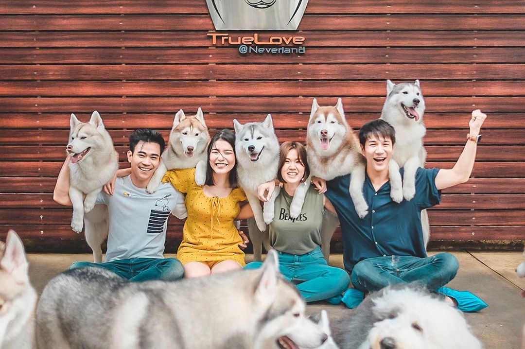 【曼谷必到】泰可愛!曼谷5間人氣動物Cafe 令人意想不到的動物也可以找到!