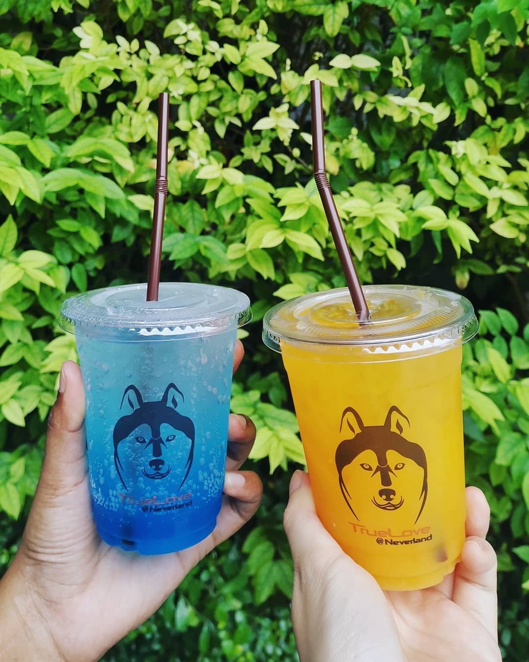 TrueLove @ Neverland|泰國 Thailand 泰國必食 泰國必吃 泰國必到 泰國必去 泰國必買 泰國必掃 泰國自由行 行程 泰國行程包 泰國懶人包 泰國好去處 泰國景點 泰國必到景點 泰國必去景點 泰國美食 泰國交通 泰國攻略 泰國自由行行程 泰國自由行行程推薦 泰國酒店 泰國飯店 泰國酒店推薦 泰國飯店推薦 泰國必住酒店 泰國必住飯店 泰國必食2019 泰國必吃2019 泰國必到2019 泰國必去2019 泰國必買2019 泰國必掃2019 泰國自由行2019 泰國行程2019 泰國行程包2019 泰國懶人包2019 泰國好去處2019 泰國景點2019 泰國必到景點2019 泰國必去景點2019 泰國美食2019 泰國交通2019 泰國攻略2019 泰國自由行行程2019 泰國自由行行程推薦2019 泰國酒店2019 泰國飯店2019 泰國酒店推薦2019 泰國飯店推薦2019 泰國必住酒店2019 泰國必住飯店2019 曼谷 Bangkok 曼谷必食 曼谷必吃 曼谷必到 曼谷必去 曼谷必買 曼谷必掃 曼谷自由行 行程 曼谷行程包 曼谷懶人包 曼谷好去處 曼谷景點 曼谷必到景點 曼谷必去景點 曼谷美食 曼谷交通 曼谷攻略 曼谷自由行行程 曼谷自由行行程推薦 曼谷酒店 曼谷飯店 曼谷酒店推薦 曼谷飯店推薦 曼谷必住酒店 曼谷必住飯店 曼谷必食2019 曼谷必吃2019 曼谷必到2019 曼谷必去2019 曼谷必買2019 曼谷必掃2019 曼谷自由行2019 曼谷行程2019 曼谷行程包2019 曼谷懶人包2019 曼谷好去處2019 曼谷景點2019 曼谷必到景點2019 曼谷必去景點2019 曼谷美食2019 曼谷交通2019 曼谷攻略2019 曼谷自由行行程2019 曼谷自由行行程推薦2019 曼谷酒店2019 曼谷飯店2019 曼谷酒店推薦2019 曼谷飯店推薦2019 曼谷必住酒店2019 曼谷必住飯店2019 TrueLove@Neverland Little Zoo Cafe Caturday Cat Café Rabbito Cafe cafe Corgi in the Garden 動物cafe 泰國動物cafe 曼谷動物cafe 哈士奇cafe 二哈cafe 柯基cafe true love cafe預約 truelove at neverland 2019 truelove at neverland交通 truelove at neverland點去 truelove at neverland曼谷 corgi in the garden true love cafe 2018 big dog cafe truelove at neverland泰文地址 husky cafe曼谷