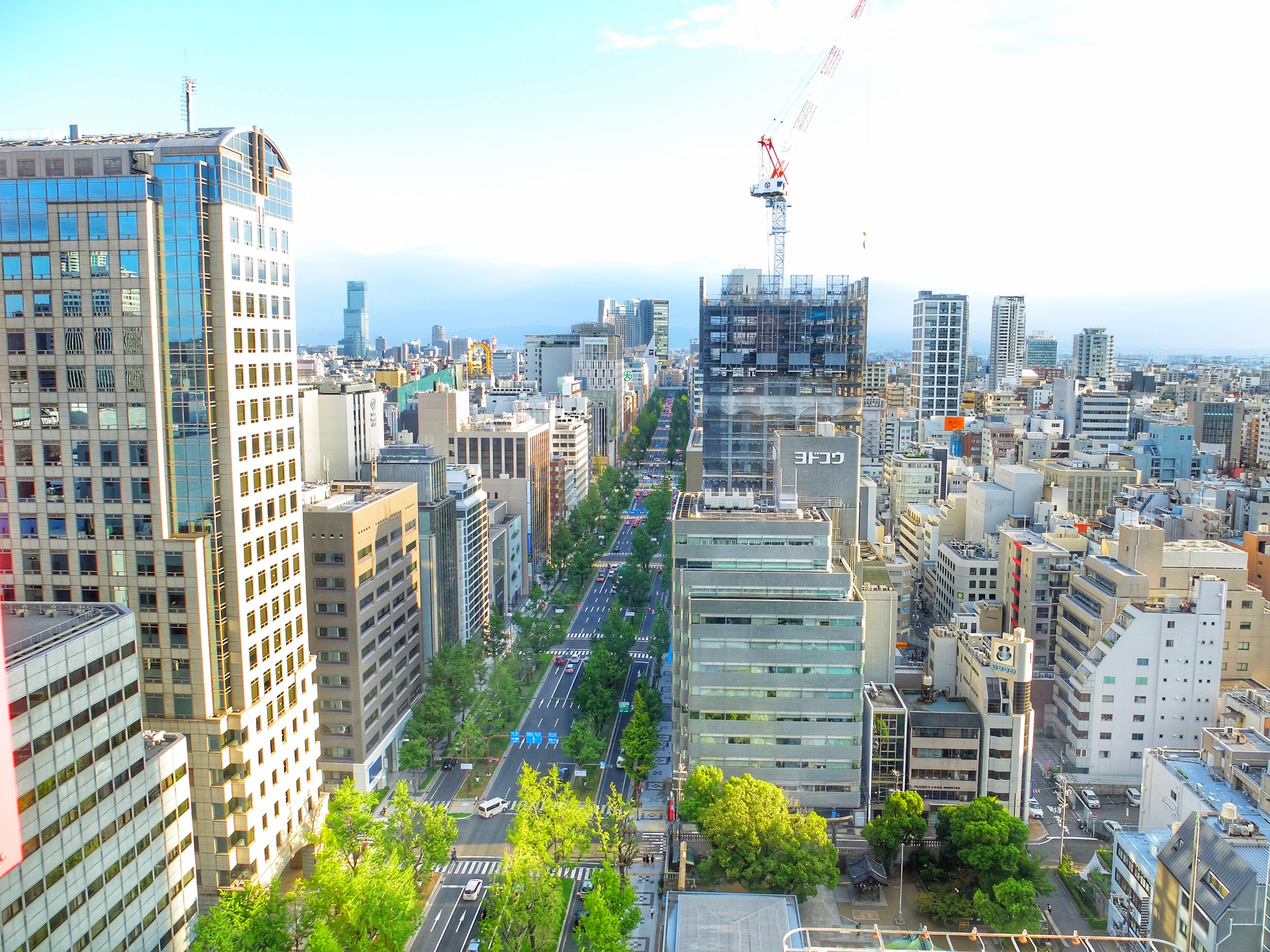 御堂筋通景色｜the b 大阪御堂筋（the b osaka midosuji）大阪酒店 大阪飯店 大阪住宿 心齋橋酒店 心齋橋飯店 心齋橋住宿 本町酒店 本町飯店 本町住宿