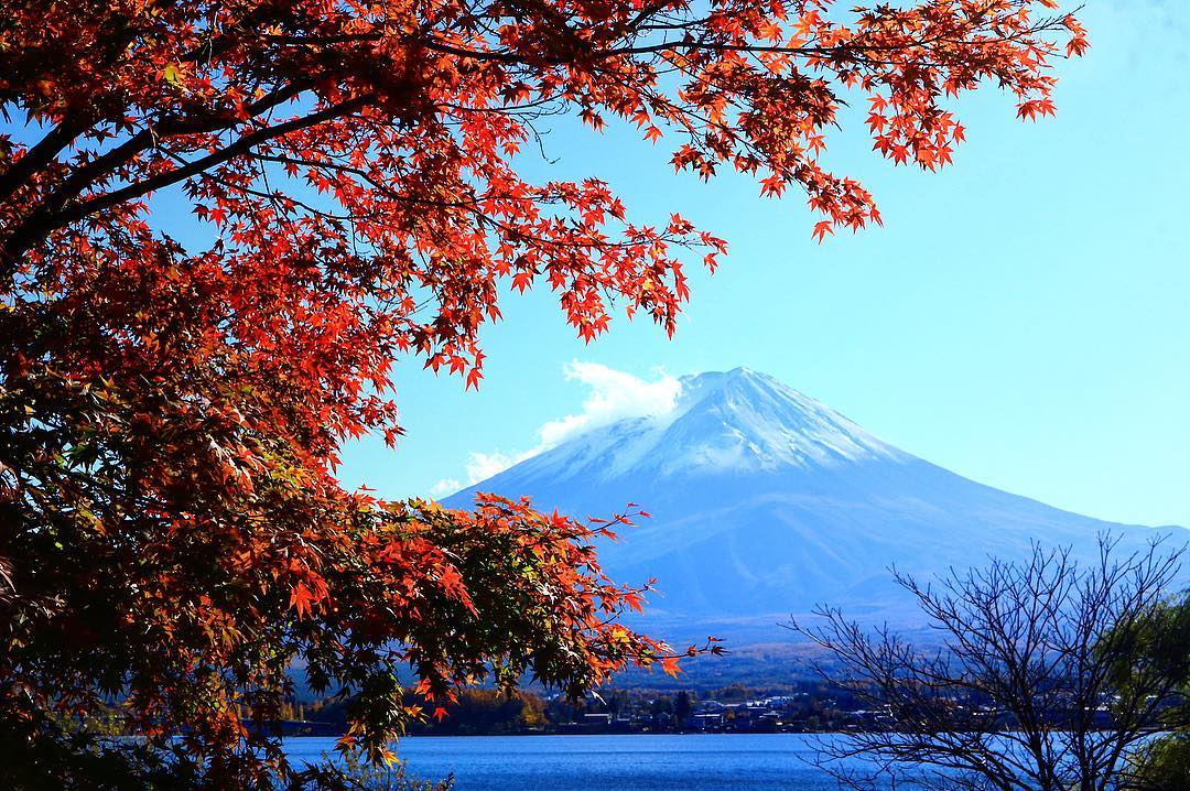 日本 Japan 日本必食 日本必吃 日本必到 日本必去 日本必買 日本必掃 日本自由行 日本行程 日本行程包 日本懶人包 日本好去處 日本景點 日本必到景點 日本必去景點 日本美食 日本交通 日本攻略 日本自由行行程 日本自由行行程推薦 日本酒店 日本飯店 日本酒店推薦 日本飯店推薦 日本必住酒店 日本必住飯店 日本必食2019 日本必吃2019 日本必到2019 日本必去2019 日本必買2019 日本必掃2019 日本自由行2019 日本行程2019 日本行程包2019 日本懶人包2019 日本好去處2019 日本景點2019 日本必到景點2019 日本必去景點2019 日本美食2019 日本交通2019 日本攻略2019 日本自由行行程2019 日本自由行行程推薦2019 日本酒店2019 日本飯店2019 日本酒店推薦2019 日本飯店推薦2019 日本必住酒店2019 日本必住飯店2019 紅葉2019 楓葉2019 日本紅葉 日本楓葉 日本紅葉2019 日本楓葉2019 日本賞楓 日本賞楓2019 東京紅葉 東京楓葉 東京紅葉2019 東京楓葉2019 東京賞楓 東京賞楓2019 東京 Tokyo 東京必食 東京必吃 東京必到 東京必去 東京必買 東京必掃 東京自由行 東京行程 東京行程包 東京懶人包 東京好去處 東京景點 東京必到景點 東京必去景點 東京美食 東京交通 東京攻略 東京自由行行程 東京自由行行程推薦 東京酒店 東京飯店 東京酒店推薦 東京飯店推薦 東京必住酒店 東京必住飯店 東京必食2019 東京必吃2019 東京必到2019 東京必去2019 東京必買2019 東京必掃2019 東京自由行2019 東京行程2019 東京行程包2019 東京懶人包2019 東京好去處2019 東京景點2019 東京必到景點2019 東京必去景點2019 東京美食2019 東京交通2019 東京攻略2019 東京自由行行程2019 東京自由行行程推薦2019 東京酒店2019 東京飯店2019 東京酒店推薦2019 東京飯店推薦2019 東京必住酒店2019 東京必住飯店2019 河口湖 河口湖紅葉 河口湖楓葉 河口湖紅葉2019 河口湖楓葉2019 河口湖紅葉祭 河口湖紅葉隧道