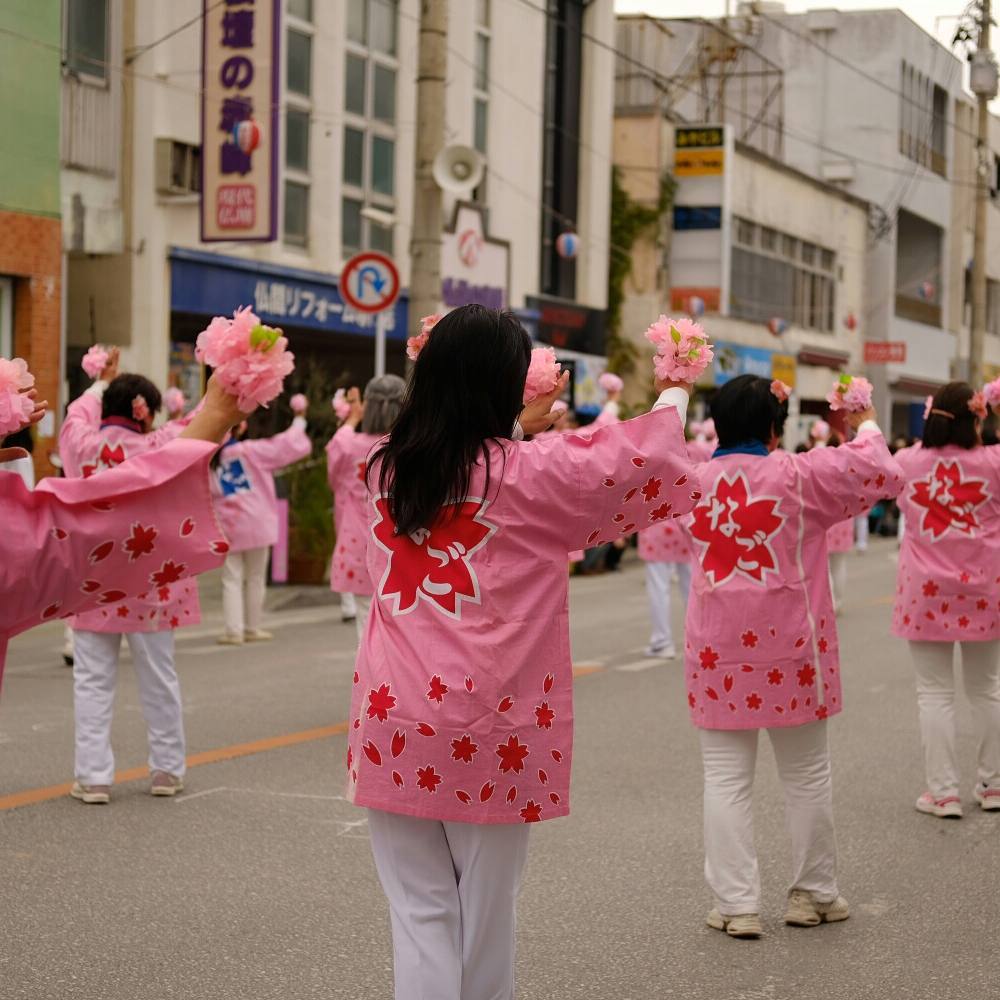 名護櫻花祭(名護さくら祭り)|沖繩冬天 沖繩好去處 沖繩櫻花 沖繩景點 沖繩1月 沖繩2月 沖繩櫻花祭 八重岳櫻花祭 沖繩本部櫻花祭