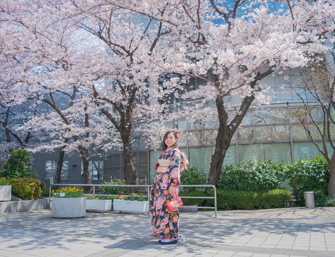 穿和服看櫻花！漫步淺草一日遊 淺草愛和服
