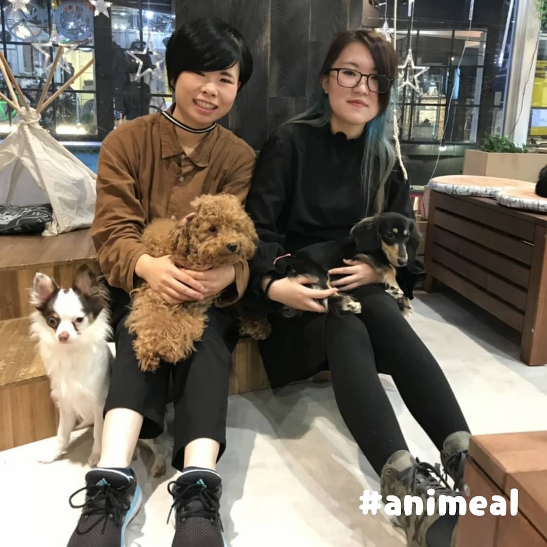 大阪動物咖啡廳 Animeal 狗CAFE