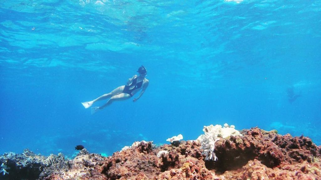 渡嘉敷島 沖繩渡嘉敷島 渡嘉敷島交通 渡嘉敷島潛水 渡嘉敷島景點 渡嘉敷島渡輪 無人島 Panari パナリ島 新城島