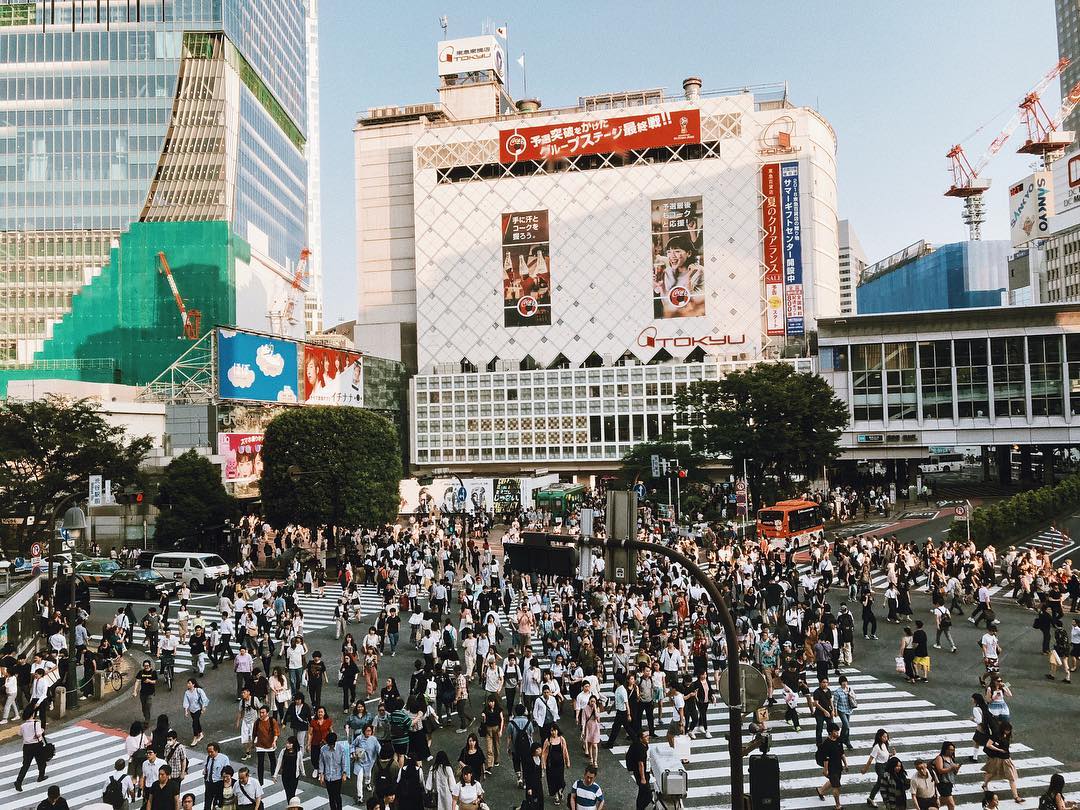 東京自由行!涉谷景點懶人包!十字交叉路口