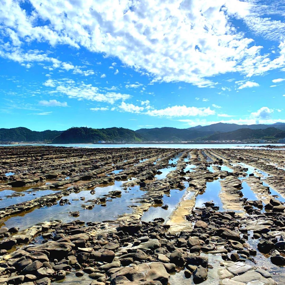 鬼之洗衣板浪漫海景｜南九州行程 南九州景點 宮崎景點 青島景點 青島神社 鬼之洗衣板 鬼の洗濯板