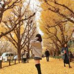 明治神宮外苑|日本 Japan 日本必食 日本必吃 日本必到 日本必去 日本必買 日本必掃 日本自由行 日本行程 日本行程包 日本懶人包 日本好去處 日本景點 日本必到景點 日本必去景點 日本美食 日本交通 日本攻略 日本自由行行程 日本自由行行程推薦 日本酒店 日本飯店 日本酒店推薦 日本飯店推薦 日本必住酒店 日本必住飯店 日本必食2019 日本必吃2019 日本必到2019 日本必去2019 日本必買2019 日本必掃2019 日本自由行2019 日本行程2019 日本行程包2019 日本懶人包2019 日本好去處2019 日本景點2019 日本必到景點2019 日本必去景點2019 日本美食2019 日本交通2019 日本攻略2019 日本自由行行程2019 日本自由行行程推薦2019 日本酒店2019 日本飯店2019 日本酒店推薦2019 日本飯店推薦2019 日本必住酒店2019 日本必住飯店2019 東京 Tokyo 東京必食 東京必吃 東京必到 東京必去 東京必買 東京必掃 東京自由行 東京行程 東京行程包 東京懶人包 東京好去處 東京景點 東京必到景點 東京必去景點 東京美食 東京交通 東京攻略 東京自由行行程 東京自由行行程推薦 東京酒店 東京飯店 東京酒店推薦 東京飯店推薦 東京必住酒店 東京必住飯店 東京必食2019 東京必吃2019 東京必到2019 東京必去2019 東京必買2019 東京必掃2019 東京自由行2019 東京行程2019 東京行程包2019 東京懶人包2019 東京好去處2019 東京景點2019 東京必到景點2019 東京必去景點2019 東京美食2019 東京交通2019 東京攻略2019 東京自由行行程2019 東京自由行行程推薦2019 東京酒店2019 東京飯店2019 東京酒店推薦2019 東京飯店推薦2019 東京必住酒店2019 東京必住飯店2019 明治神宮外苑 國營昭和紀念公園 光が丘公園 銀杏2019 日本銀杏 日本銀杏2019 東京銀杏 東京銀杏2019 明治神宮外苑銀杏 國營昭和紀念公園銀杏 光が丘公園銀杏 明治神宮外苑銀杏2019 國營昭和紀念公園銀杏2019 光が丘公園銀杏2019 明治神宮外苑銀杏祭2019 明治神宮外苑銀杏祭2018 明治神宮外苑銀杏祭2017 明治神宮外苑櫻花 明治神宮外苑6月 明治神宮外苑10月 明治神宮外苑夏天 信濃町明治神宮外苑 明治神宮外苑1月 明治神宮外苑營業時間