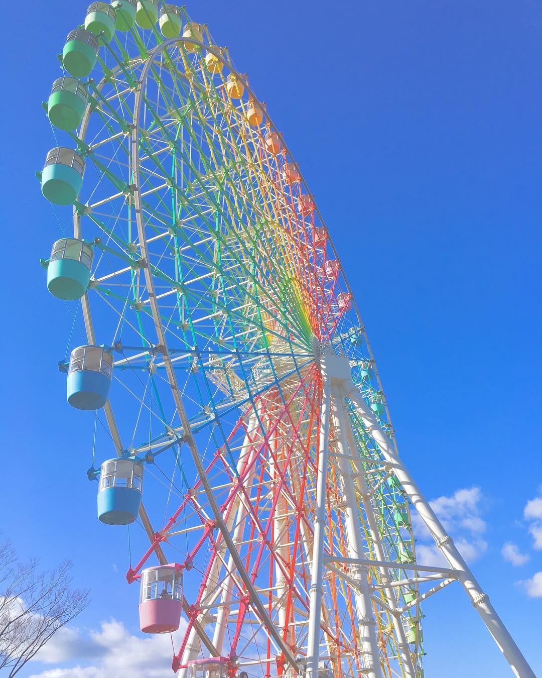 枚方公園 摩天輪