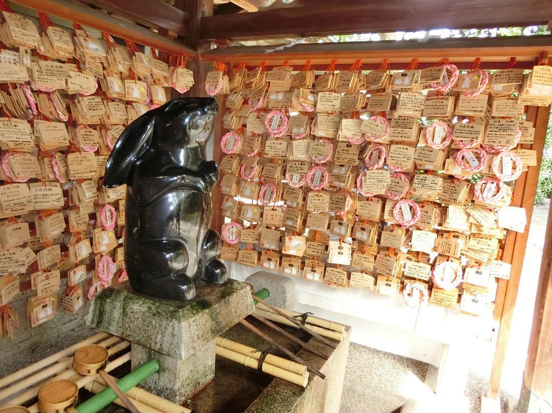 兔迷朝聖必去！兔子守護神@ 京都 岡崎神社