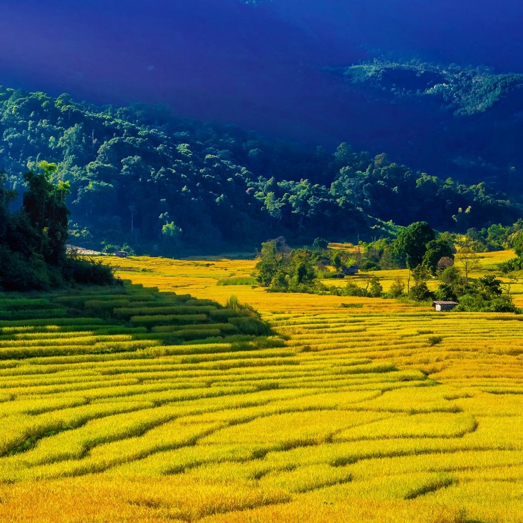 泰國自由行 清邁府 (Chiang Mai) ​​