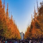 明治神宮外苑|日本 Japan 日本必食 日本必吃 日本必到 日本必去 日本必買 日本必掃 日本自由行 日本行程 日本行程包 日本懶人包 日本好去處 日本景點 日本必到景點 日本必去景點 日本美食 日本交通 日本攻略 日本自由行行程 日本自由行行程推薦 日本酒店 日本飯店 日本酒店推薦 日本飯店推薦 日本必住酒店 日本必住飯店 日本必食2019 日本必吃2019 日本必到2019 日本必去2019 日本必買2019 日本必掃2019 日本自由行2019 日本行程2019 日本行程包2019 日本懶人包2019 日本好去處2019 日本景點2019 日本必到景點2019 日本必去景點2019 日本美食2019 日本交通2019 日本攻略2019 日本自由行行程2019 日本自由行行程推薦2019 日本酒店2019 日本飯店2019 日本酒店推薦2019 日本飯店推薦2019 日本必住酒店2019 日本必住飯店2019 東京 Tokyo 東京必食 東京必吃 東京必到 東京必去 東京必買 東京必掃 東京自由行 東京行程 東京行程包 東京懶人包 東京好去處 東京景點 東京必到景點 東京必去景點 東京美食 東京交通 東京攻略 東京自由行行程 東京自由行行程推薦 東京酒店 東京飯店 東京酒店推薦 東京飯店推薦 東京必住酒店 東京必住飯店 東京必食2019 東京必吃2019 東京必到2019 東京必去2019 東京必買2019 東京必掃2019 東京自由行2019 東京行程2019 東京行程包2019 東京懶人包2019 東京好去處2019 東京景點2019 東京必到景點2019 東京必去景點2019 東京美食2019 東京交通2019 東京攻略2019 東京自由行行程2019 東京自由行行程推薦2019 東京酒店2019 東京飯店2019 東京酒店推薦2019 東京飯店推薦2019 東京必住酒店2019 東京必住飯店2019 明治神宮外苑 國營昭和紀念公園 光が丘公園 銀杏2019 日本銀杏 日本銀杏2019 東京銀杏 東京銀杏2019 明治神宮外苑銀杏 國營昭和紀念公園銀杏 光が丘公園銀杏 明治神宮外苑銀杏2019 國營昭和紀念公園銀杏2019 光が丘公園銀杏2019 明治神宮外苑銀杏祭2019 明治神宮外苑銀杏祭2018 明治神宮外苑銀杏祭2017 明治神宮外苑櫻花 明治神宮外苑6月 明治神宮外苑10月 明治神宮外苑夏天 信濃町明治神宮外苑 明治神宮外苑1月 明治神宮外苑營業時間