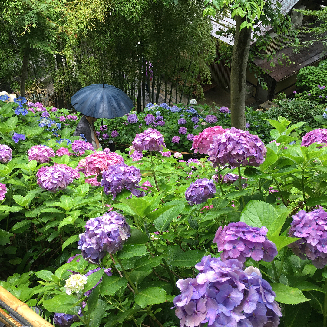 東京 鎌倉 近郊