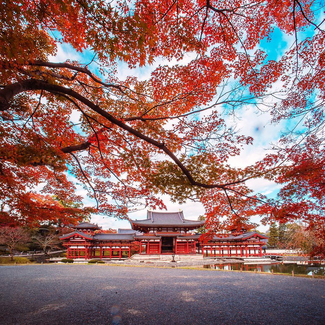 京都紅葉景點推介:宇治平等院紅葉