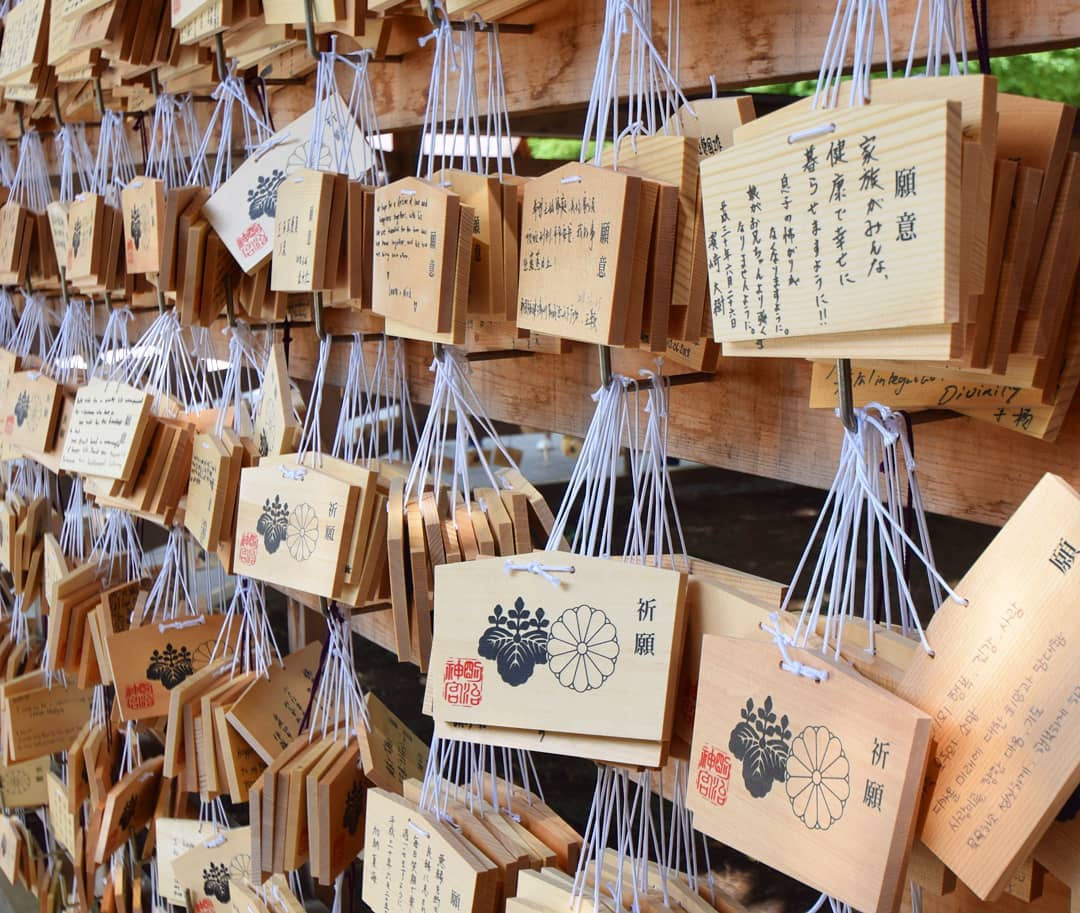 東京自由行！原宿必去景點懶人包！明治神宫