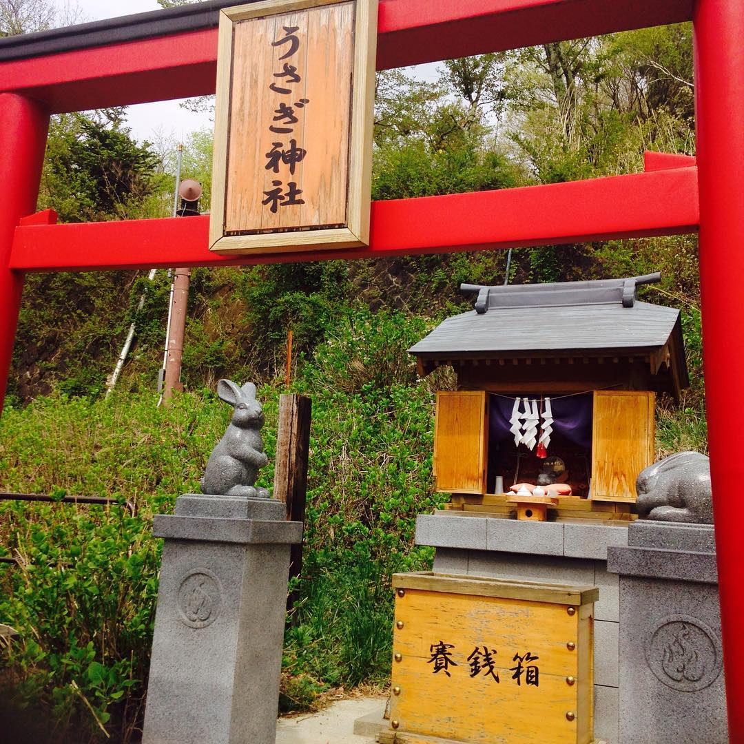 「天上山公園」兔子神社