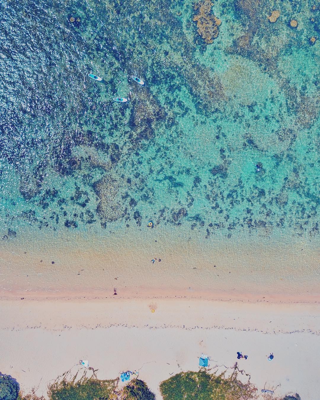 石垣島 浮潛
