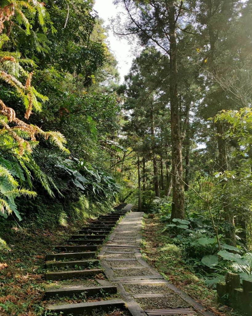 東眼山森林遊樂區 台灣親子遊 桃園親子遊 台北親子遊 台灣森林遊樂區 台灣森林 台北森林 桃園森林 台灣親子好去處 台北親子好去處 桃園親子好去處 台灣親子景點 台北親子景點 桃園親子景點