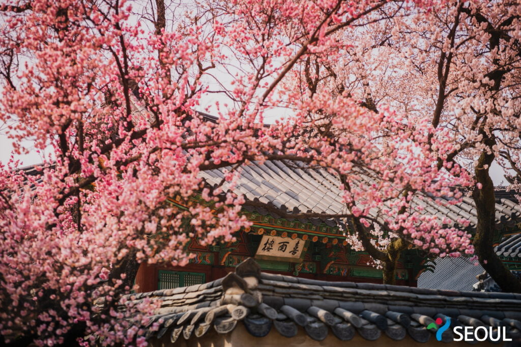 昌德宮