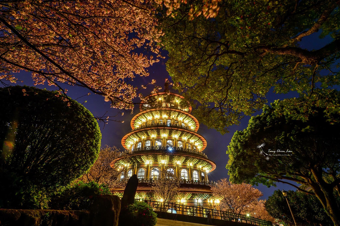 天元宮櫻花