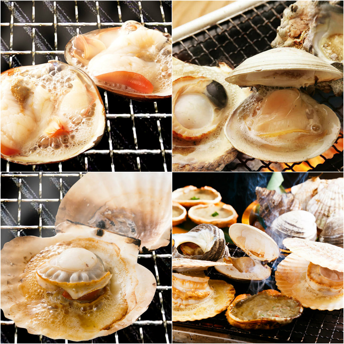 collage1
