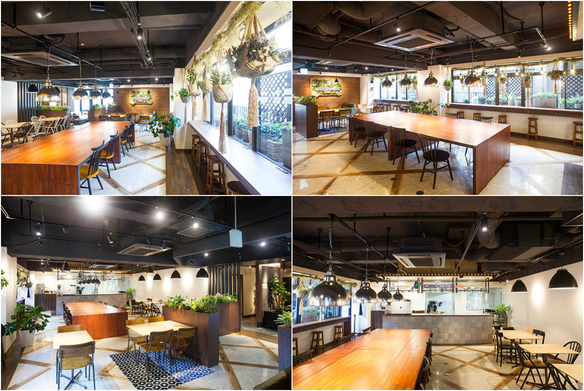 ▲ 難波店走清新路線，木餐具加上小盆栽，令食客用餐更舒適