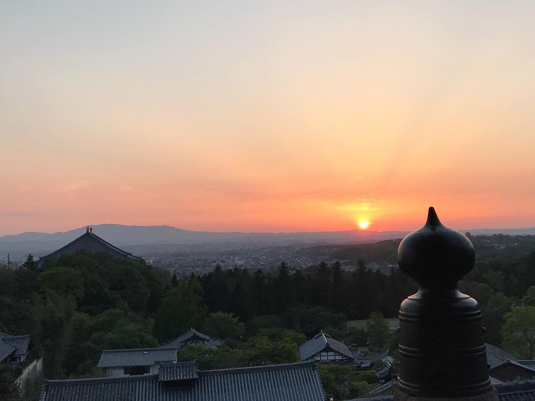 京阪自由行！奈良必去行程懶人包(景點篇) - 東大寺