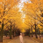 光が丘公園|日本 Japan 日本必食 日本必吃 日本必到 日本必去 日本必買 日本必掃 日本自由行 日本行程 日本行程包 日本懶人包 日本好去處 日本景點 日本必到景點 日本必去景點 日本美食 日本交通 日本攻略 日本自由行行程 日本自由行行程推薦 日本酒店 日本飯店 日本酒店推薦 日本飯店推薦 日本必住酒店 日本必住飯店 日本必食2019 日本必吃2019 日本必到2019 日本必去2019 日本必買2019 日本必掃2019 日本自由行2019 日本行程2019 日本行程包2019 日本懶人包2019 日本好去處2019 日本景點2019 日本必到景點2019 日本必去景點2019 日本美食2019 日本交通2019 日本攻略2019 日本自由行行程2019 日本自由行行程推薦2019 日本酒店2019 日本飯店2019 日本酒店推薦2019 日本飯店推薦2019 日本必住酒店2019 日本必住飯店2019 東京 Tokyo 東京必食 東京必吃 東京必到 東京必去 東京必買 東京必掃 東京自由行 東京行程 東京行程包 東京懶人包 東京好去處 東京景點 東京必到景點 東京必去景點 東京美食 東京交通 東京攻略 東京自由行行程 東京自由行行程推薦 東京酒店 東京飯店 東京酒店推薦 東京飯店推薦 東京必住酒店 東京必住飯店 東京必食2019 東京必吃2019 東京必到2019 東京必去2019 東京必買2019 東京必掃2019 東京自由行2019 東京行程2019 東京行程包2019 東京懶人包2019 東京好去處2019 東京景點2019 東京必到景點2019 東京必去景點2019 東京美食2019 東京交通2019 東京攻略2019 東京自由行行程2019 東京自由行行程推薦2019 東京酒店2019 東京飯店2019 東京酒店推薦2019 東京飯店推薦2019 東京必住酒店2019 東京必住飯店2019 明治神宮外苑 國營昭和紀念公園 光が丘公園 銀杏2019 日本銀杏 日本銀杏2019 東京銀杏 東京銀杏2019 明治神宮外苑銀杏 國營昭和紀念公園銀杏 光が丘公園銀杏 明治神宮外苑銀杏2019 國營昭和紀念公園銀杏2019 光が丘公園銀杏2019 光之丘公園銀杏時間 光丘景點 東京光之丘銀杏 自由之丘銀杏 光丘事件