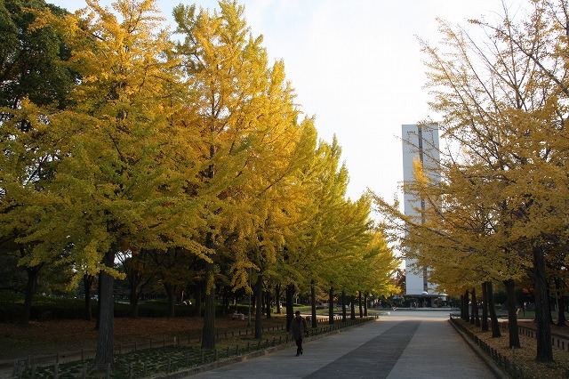 daisen
