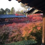 臥雲橋 通天橋 東福寺站 東福寺 紅葉 東福寺紅葉 京都紅葉2019 京都楓葉2019 京都紅葉景點2019 京都紅葉 景點2019 京都賞楓2019 京都賞楓 景點2019 京都賞楓景點2019 京都夜楓2019 京都夜楓景點2019 京都紅葉 京都楓葉 京都紅葉景點 京都紅葉 景點 京都賞楓 京都賞楓 景點 京都賞楓景點 京都夜楓 京都夜楓景點