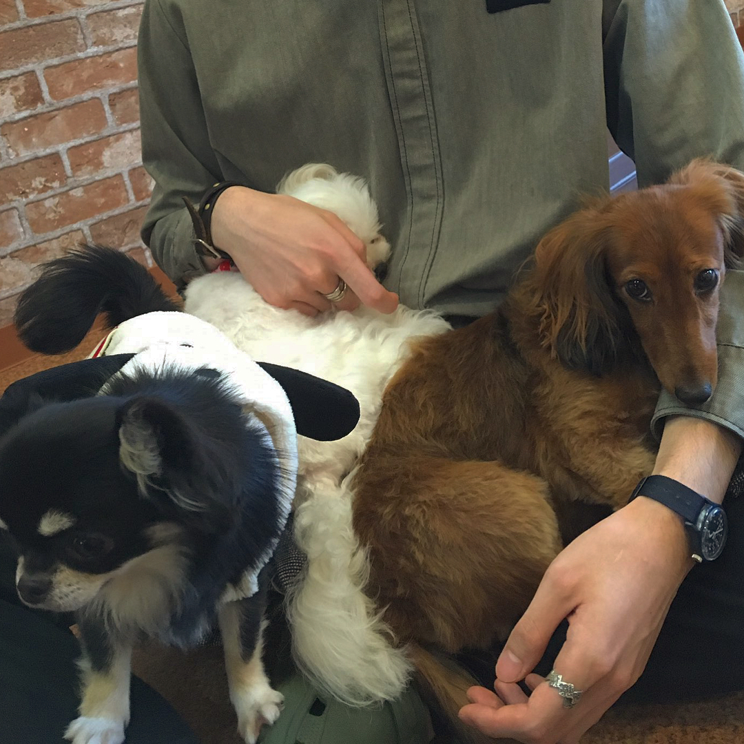 大阪狗CAFE Dog Tail