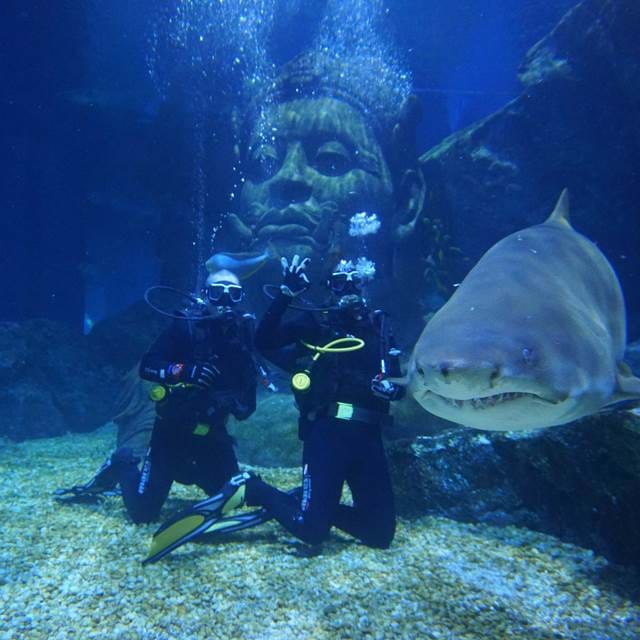 曼谷水族館 曼谷暹羅海洋世界可以搭玻璃船親近超過400種海洋生物（又稱海洋世界水族館）曼谷景點 曼谷親子景點