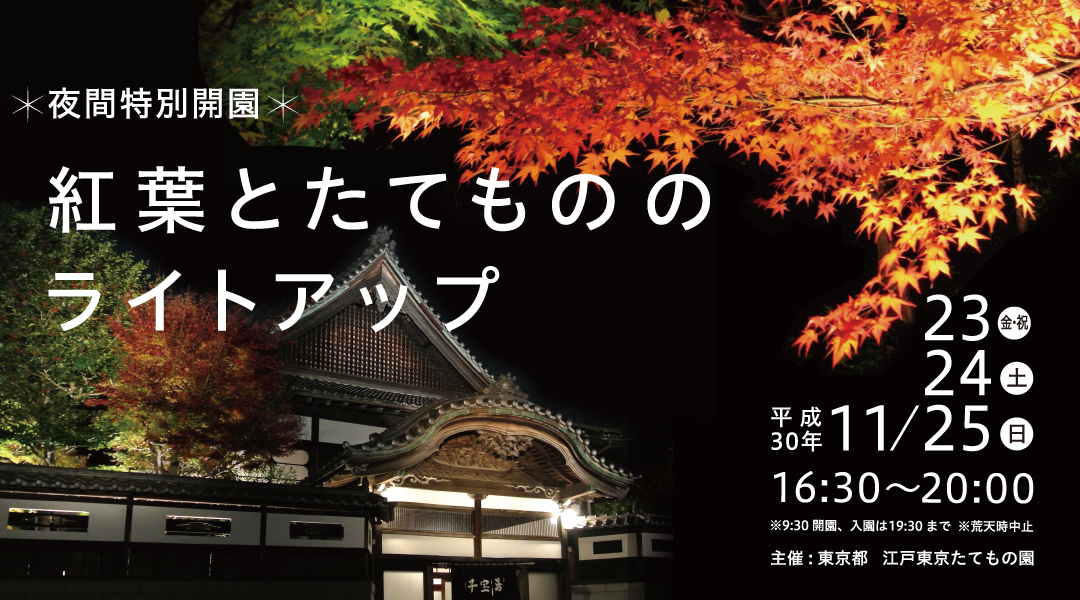 江戶東京建築物園秋季紅葉夜間亮燈活動