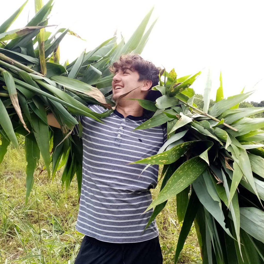 泰北旅遊 泰北自由行 泰北大象保育區 泰北大象保育中心 親親大象 清邁大象自然公園 Elephant Nature Park 清萊大象保育區 Elephant Valley Thailand 素可泰大象保育區 Boon Lott's Elephant Sanctuary