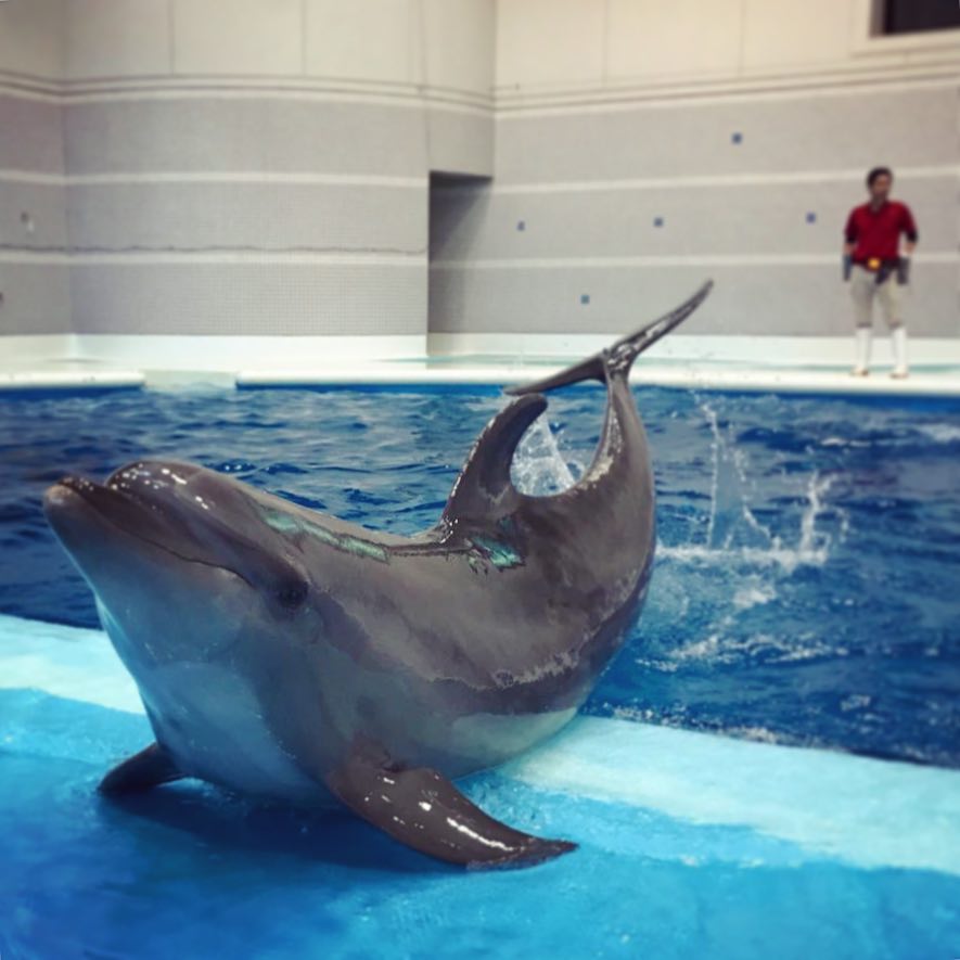 鹿兒島水族館