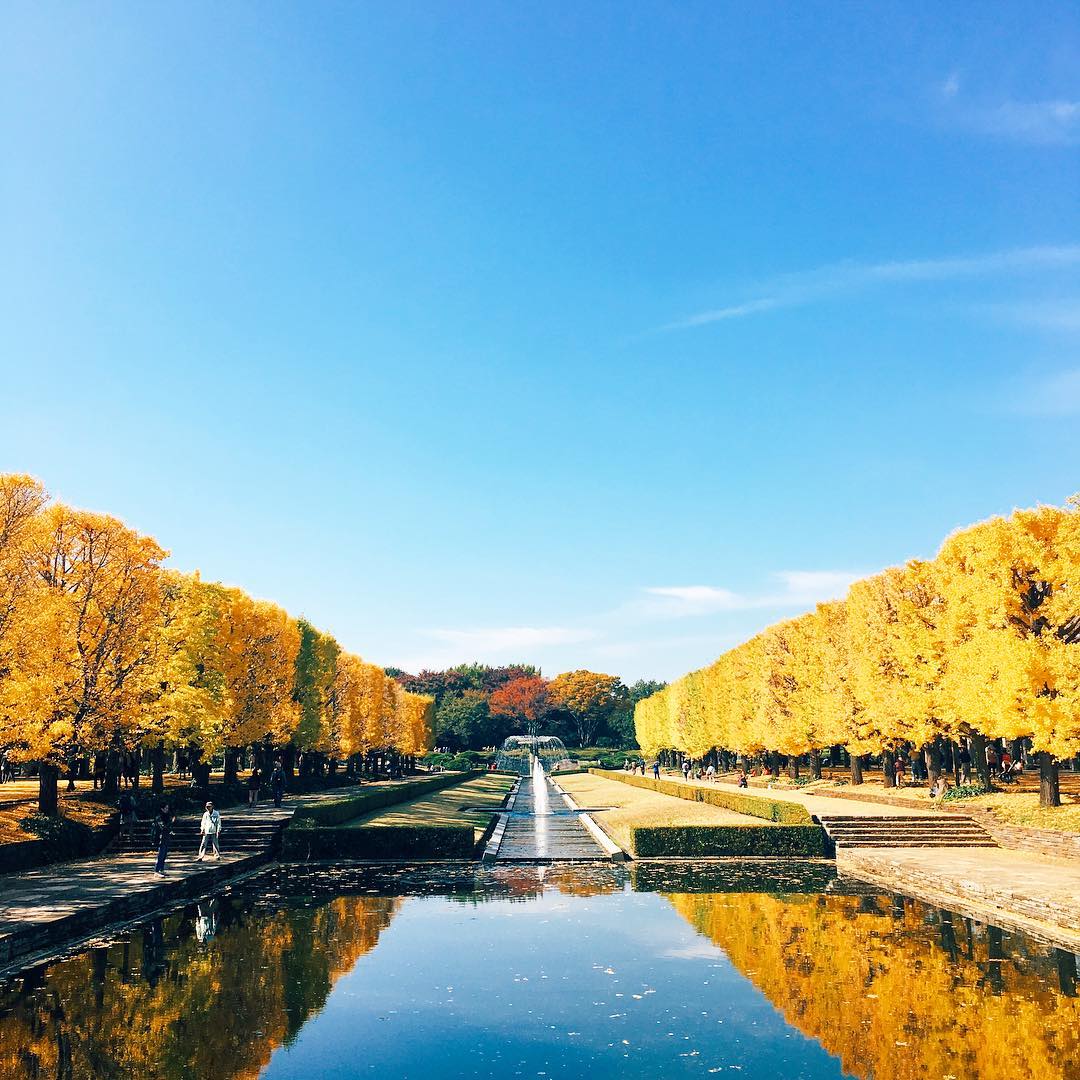國營昭和紀念公園|日本 Japan 日本必食 日本必吃 日本必到 日本必去 日本必買 日本必掃 日本自由行 日本行程 日本行程包 日本懶人包 日本好去處 日本景點 日本必到景點 日本必去景點 日本美食 日本交通 日本攻略 日本自由行行程 日本自由行行程推薦 日本酒店 日本飯店 日本酒店推薦 日本飯店推薦 日本必住酒店 日本必住飯店 日本必食2019 日本必吃2019 日本必到2019 日本必去2019 日本必買2019 日本必掃2019 日本自由行2019 日本行程2019 日本行程包2019 日本懶人包2019 日本好去處2019 日本景點2019 日本必到景點2019 日本必去景點2019 日本美食2019 日本交通2019 日本攻略2019 日本自由行行程2019 日本自由行行程推薦2019 日本酒店2019 日本飯店2019 日本酒店推薦2019 日本飯店推薦2019 日本必住酒店2019 日本必住飯店2019 東京 Tokyo 東京必食 東京必吃 東京必到 東京必去 東京必買 東京必掃 東京自由行 東京行程 東京行程包 東京懶人包 東京好去處 東京景點 東京必到景點 東京必去景點 東京美食 東京交通 東京攻略 東京自由行行程 東京自由行行程推薦 東京酒店 東京飯店 東京酒店推薦 東京飯店推薦 東京必住酒店 東京必住飯店 東京必食2019 東京必吃2019 東京必到2019 東京必去2019 東京必買2019 東京必掃2019 東京自由行2019 東京行程2019 東京行程包2019 東京懶人包2019 東京好去處2019 東京景點2019 東京必到景點2019 東京必去景點2019 東京美食2019 東京交通2019 東京攻略2019 東京自由行行程2019 東京自由行行程推薦2019 東京酒店2019 東京飯店2019 東京酒店推薦2019 東京飯店推薦2019 東京必住酒店2019 東京必住飯店2019 明治神宮外苑 國營昭和紀念公園 光が丘公園 銀杏2019 日本銀杏 日本銀杏2019 東京銀杏 東京銀杏2019 明治神宮外苑銀杏 國營昭和紀念公園銀杏 光が丘公園銀杏 明治神宮外苑銀杏2019 國營昭和紀念公園銀杏2019 光が丘公園銀杏2019 國營昭和紀念公園2019 國營昭和紀念公園銀杏2018 國營昭和紀念公園3月 國營昭和紀念公園10月 國營昭和紀念公園粉蝶花 昭和紀念公園櫻花2019 國營昭和紀念公園12月 昭和紀念公園櫻花2018 國營昭和紀念公園點燈 昭和紀念公園近期活動