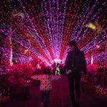 日本夜景遺産 東南植物楽園 ひかりの散歩道2019 東南植物楽園 ひかりの散歩道 東南植物樂園 光之散步道2019 東南植物樂園 光之散步道 沖繩冬天 2019 沖繩冬天 自由行 2019 沖繩冬天景點 2019 沖繩聖誕點燈 2019 沖繩聖誕亮燈 2019 沖繩聖誕燈飾 2019 沖繩燈飾 2019 沖繩聖誕 2019