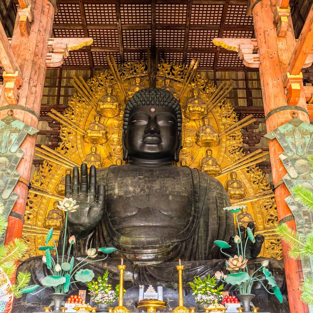 京阪自由行!奈良必去行程懶人包(景點篇) - 東大寺