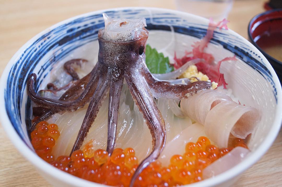 北海道必去！函館朝市美食地圖 一花亭 たびじ(Tabiji)