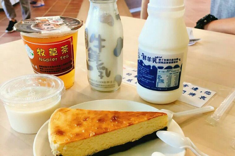 墾丁自由行 墾丁親子景點 墾丁景點 墾丁牧場合作社
