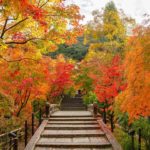 紅葉的永觀堂 蹴上站 紅葉の永観堂 永観堂の紅葉 永観堂 紅葉 永觀堂 紅葉 永觀堂紅葉 京都紅葉2019 京都楓葉2019 京都紅葉景點2019 京都紅葉 景點2019 京都賞楓2019 京都賞楓 景點2019 京都賞楓景點2019 京都夜楓2019 京都夜楓景點2019 京都紅葉 京都楓葉 京都紅葉景點 京都紅葉 景點 京都賞楓 京都賞楓 景點 京都賞楓景點 京都夜楓 京都夜楓景點