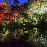 八阪神社 東山安井站 夜楓 圓山公園 高台寺紅葉 紅葉 高台寺 紅葉 京都紅葉2019 京都楓葉2019 京都紅葉景點2019 京都紅葉 景點2019 京都賞楓2019 京都賞楓 景點2019 京都賞楓景點2019 京都夜楓2019 京都夜楓景點2019 京都紅葉 京都楓葉 京都紅葉景點 京都紅葉 景點 京都賞楓 京都賞楓 景點 京都賞楓景點 京都夜楓 京都夜楓景點